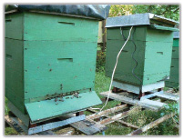 Monitorowanie mikroklimatu rodziny pszczelej system WMA, cz. 1.